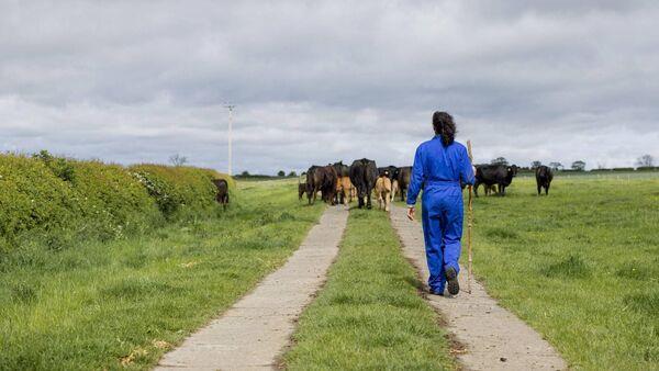 Inspection campaign focusing on health and wellbeing begins